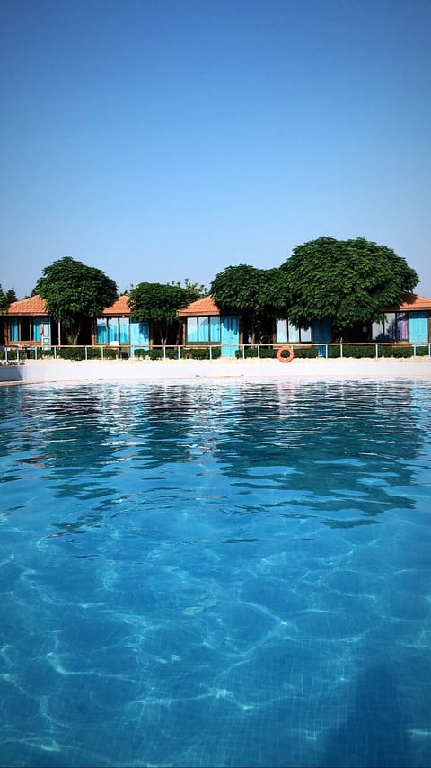 Diamond Bay Lebanon Resort — photograph 3