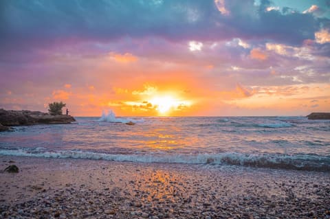 Al Eiin Beach — photograph 4