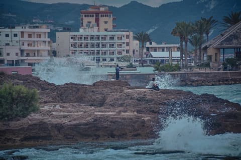 Al Eiin Beach — photograph 6