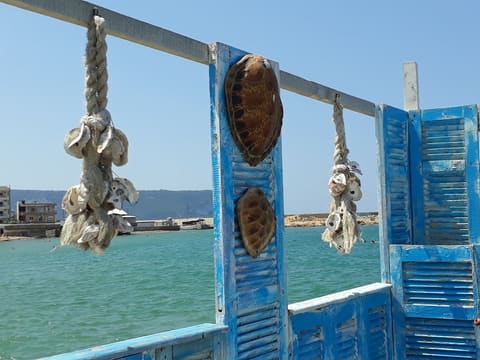 Khan El Souki — photograph 5