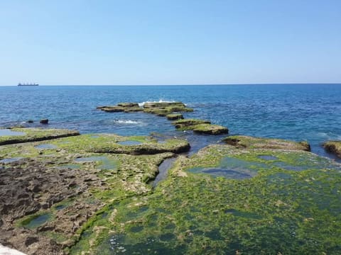 Rmayle Beach — photograph 2