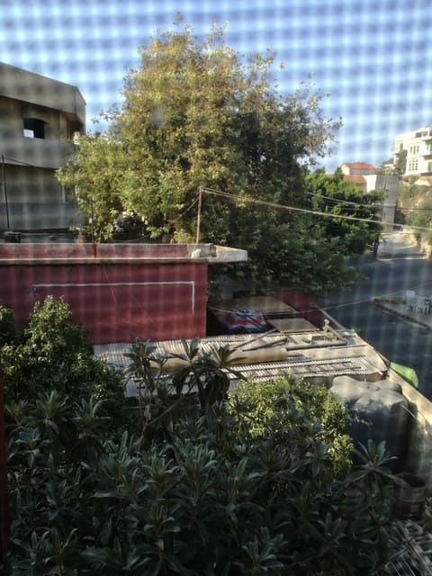 El 3en Market — photograph 3