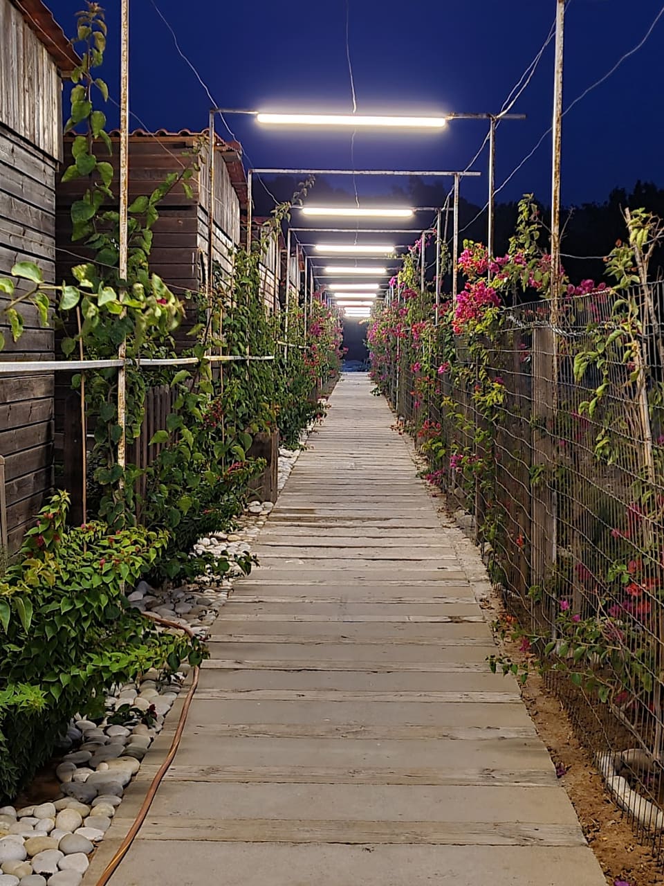 Sealena Resort