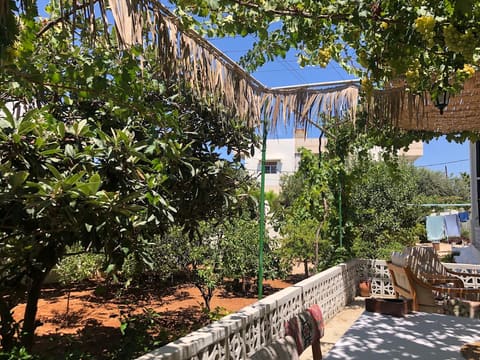 Beit Noha — photograph 5