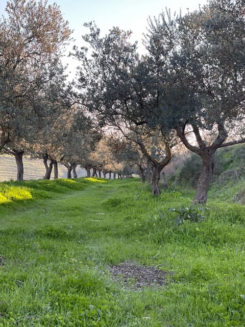 Chekka Hiking trails — photograph 3