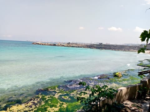 Muntazah Al Zaerour — photograph 2