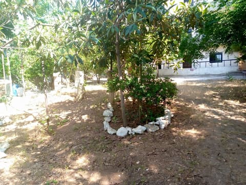 Muntazah Al Zaerour — photograph 3
