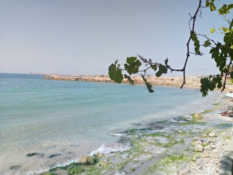 Muntazah Al Zaerour — photograph 5