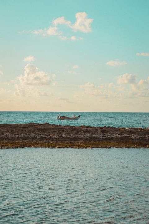 3a Baher Chekka — photograph 5