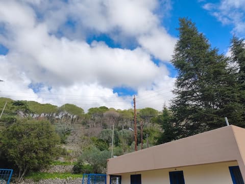 Monastery of the Sisters of the Holy Eucharist Kfarmashoun — photograph 3