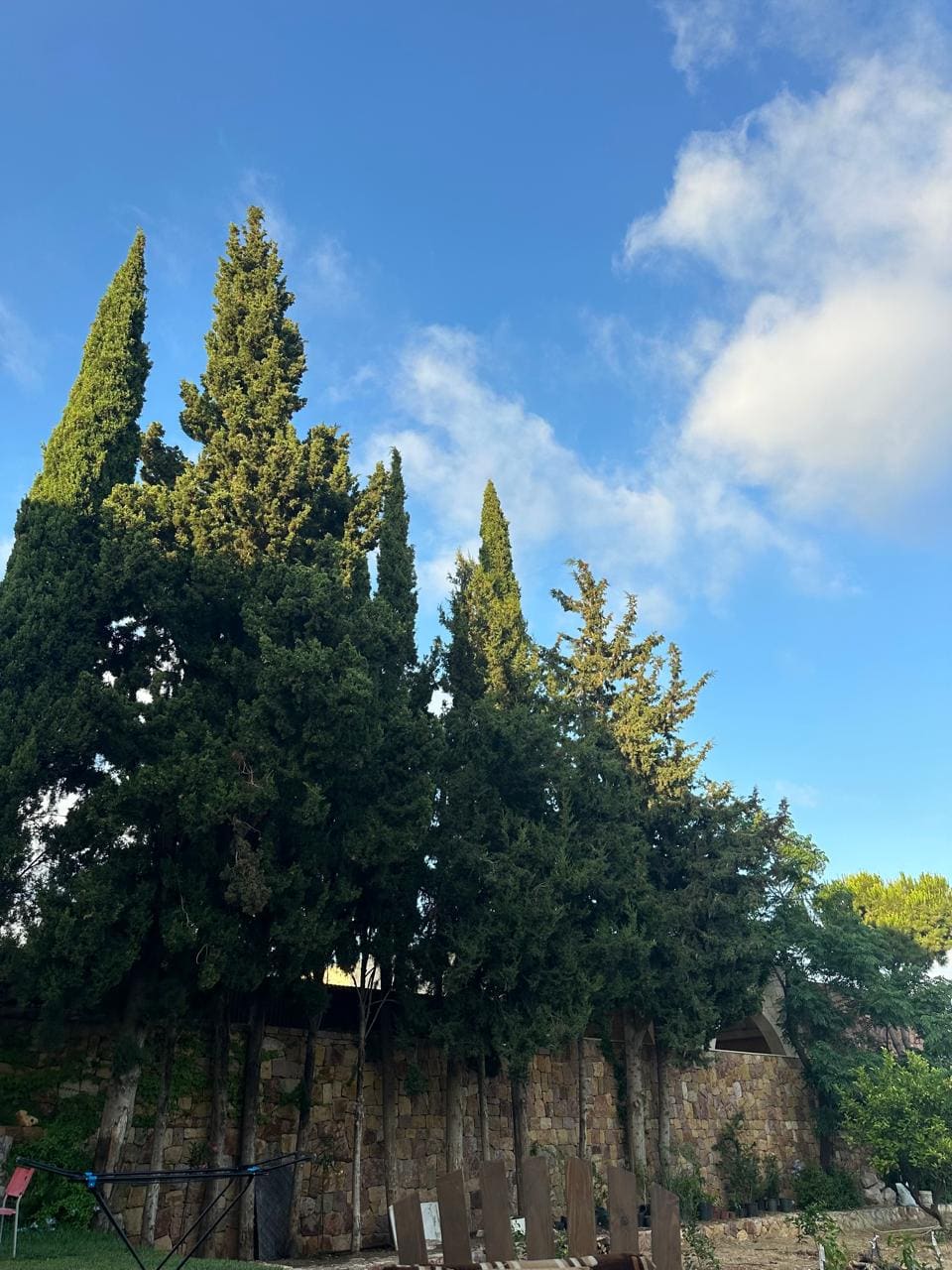 Hacienda di Pablo Estate & Vineyard
