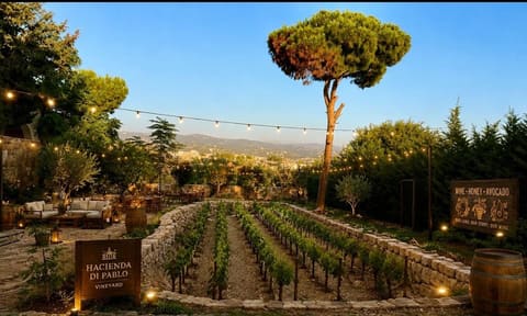 Hacienda di Pablo Estate & Vineyard — photograph 2