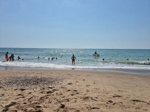 Chez ziad beach — photograph 5