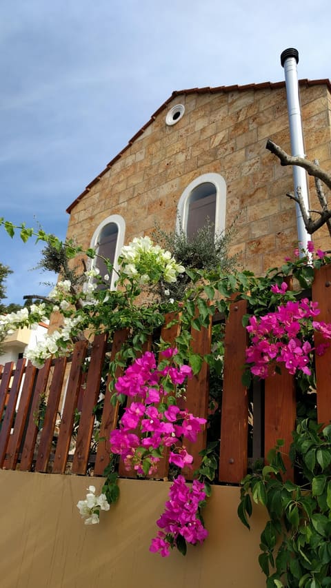 Rovinera Resort — photograph 4