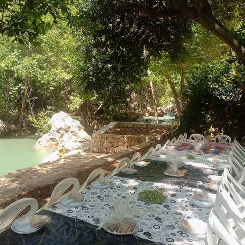 La riviere — photograph 3