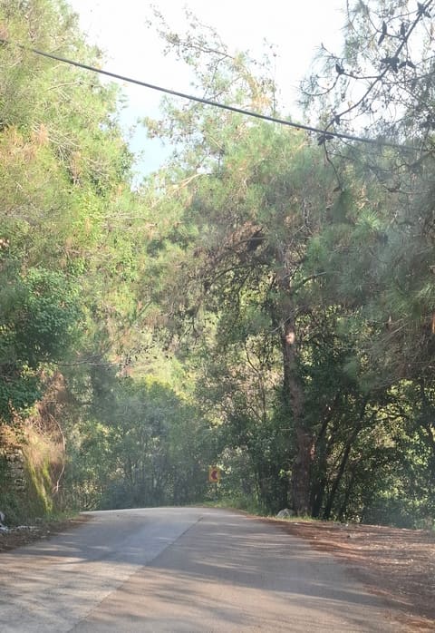 Jalsat Al Naba — photograph 6