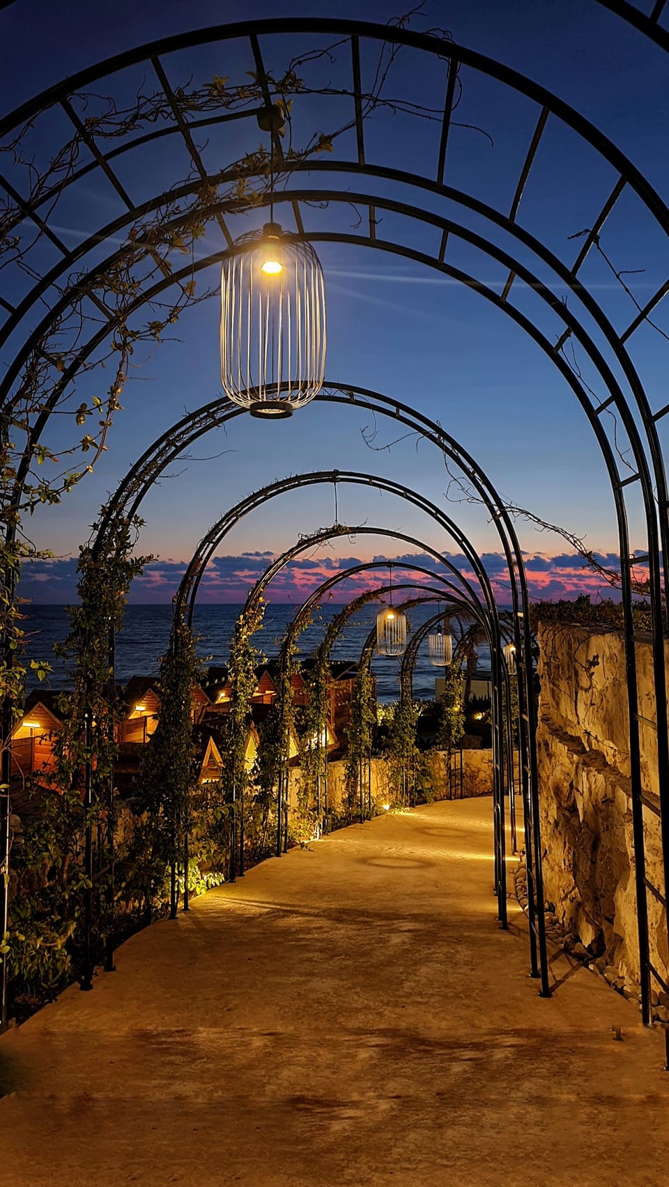Provencial Del Mare