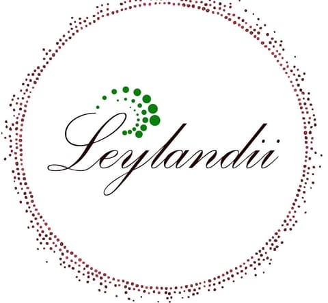 Leylandii — photograph 6
