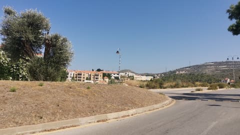 Dawar Al Zaytouna — photograph 2