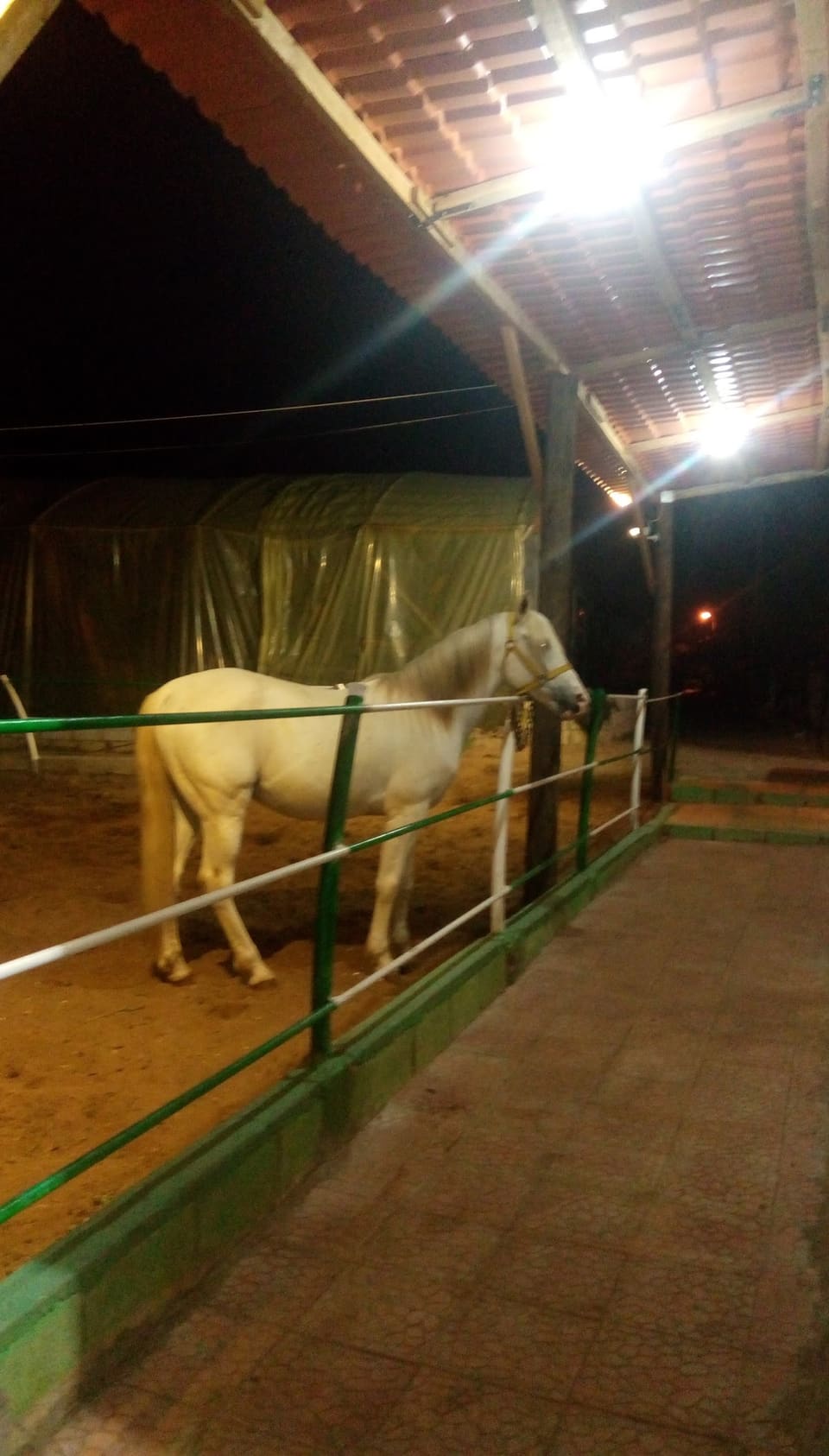 Shehade Market & plast