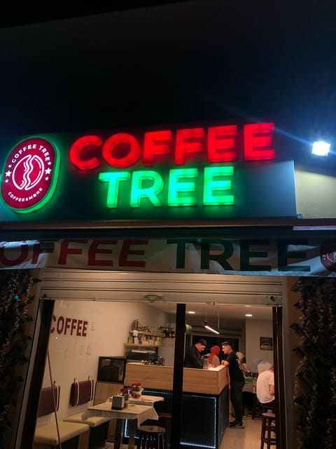 Coffee tree — photograph 4