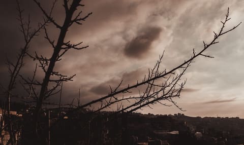RealAyham — photograph 3