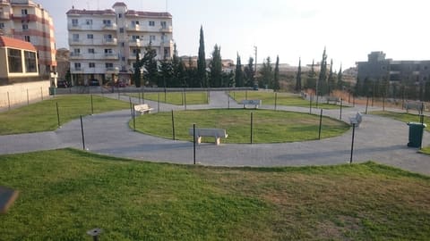 Public Garden — photograph 2