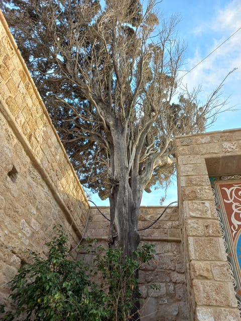 Maqam En Nabi Younes — photograph 3