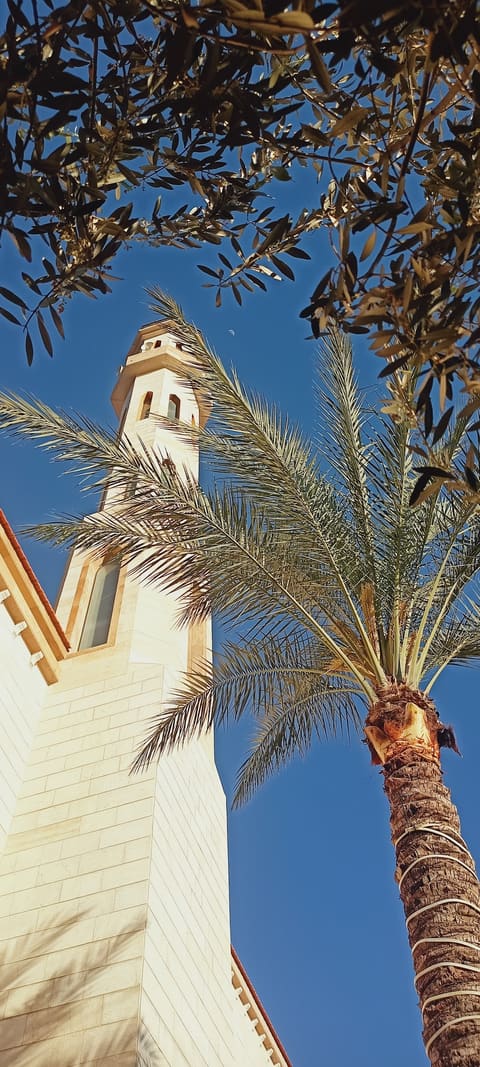Masjid Al Nouman — photograph 4