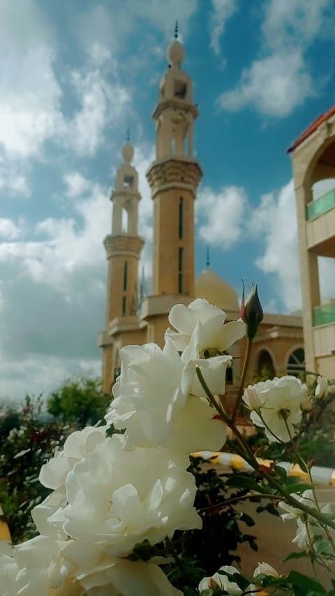 Farhat Mosque — photograph 3