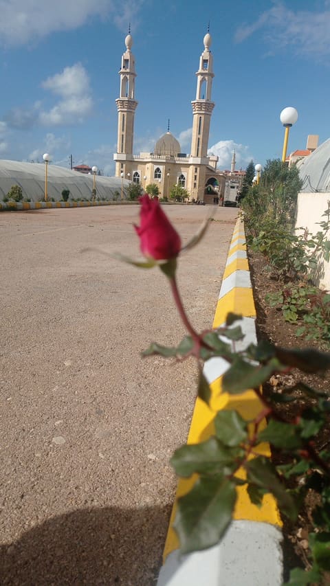 Farhat Mosque — photograph 4