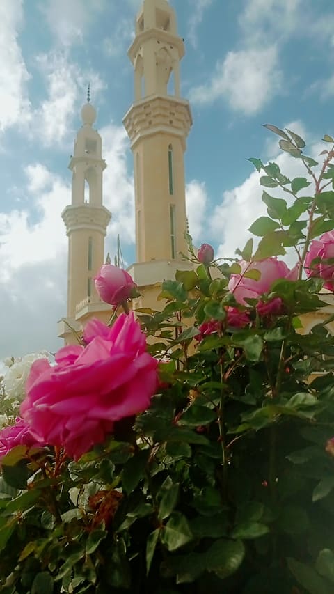 Farhat Mosque — photograph 5