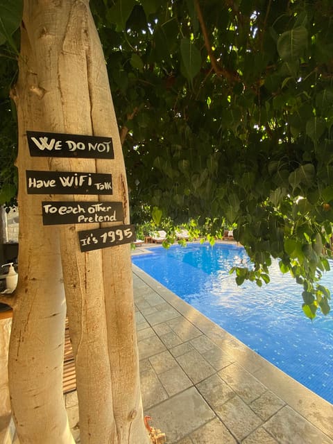 CaboBeachResort — photograph 4