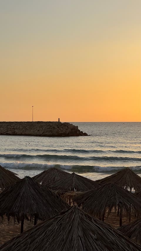 Golden Sand - Beach — photograph 6