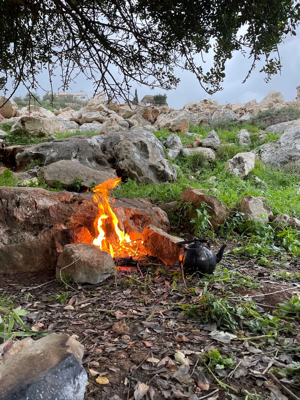 Lebanon tyre