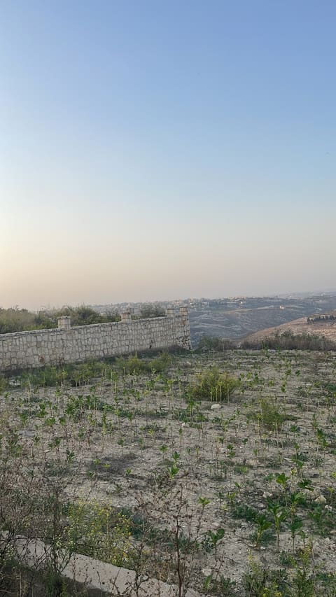 Lebanon tyre — photograph 3