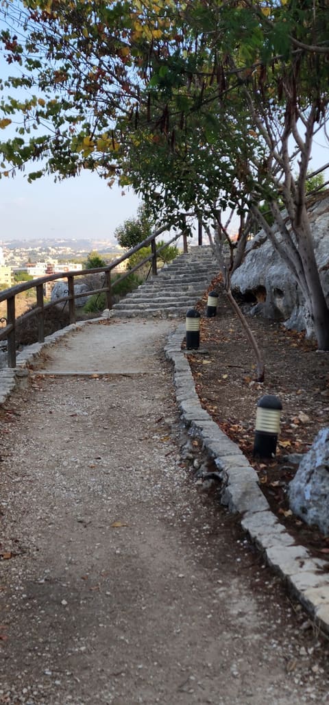 Qana Holy Grotto — photograph 3