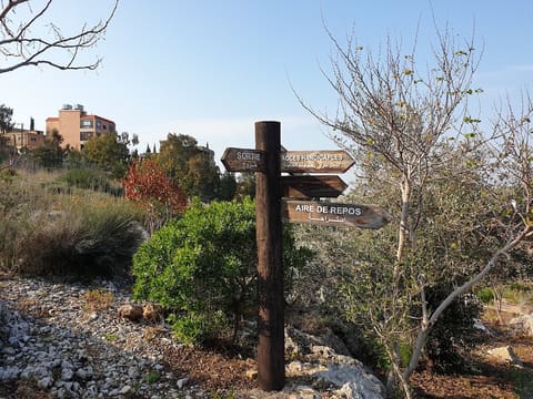 Qana Holy Grotto — photograph 4