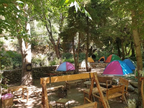 Al naher restaurant — photograph 6