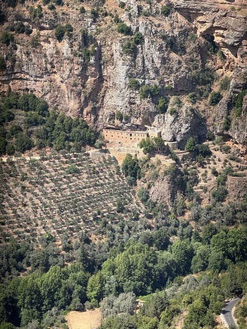 ORPHILIS (Sama Qannoubine) — photograph 3