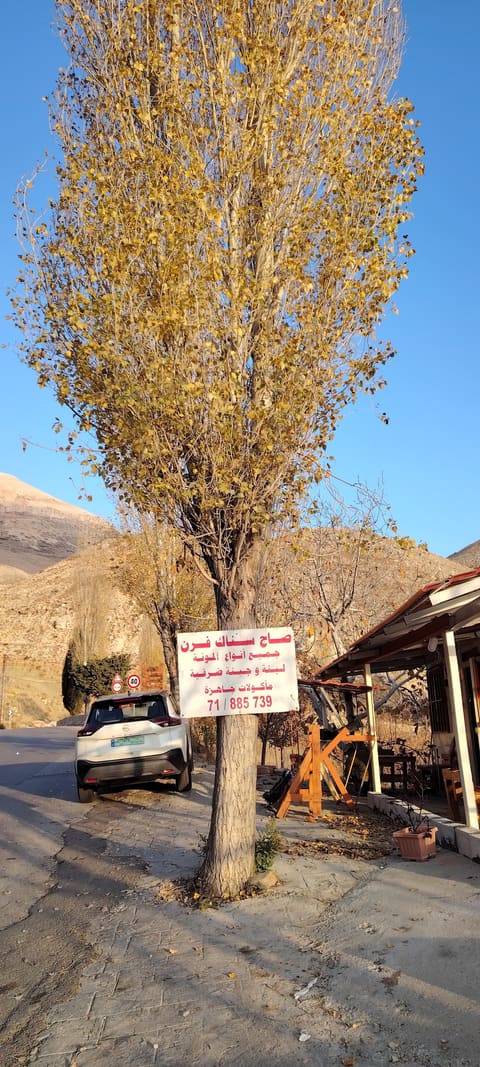 Saj by yosra — photograph 2