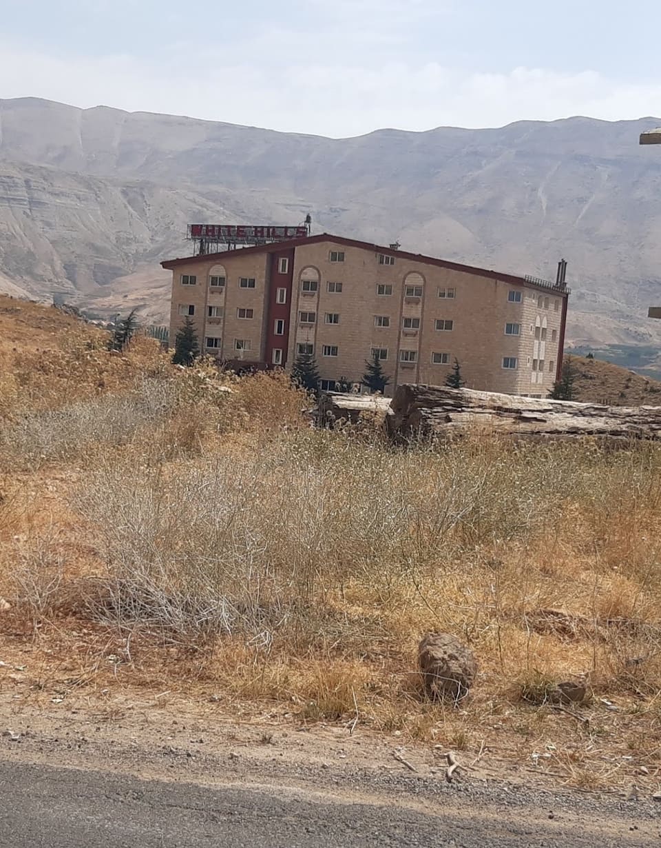 White Hills hotel