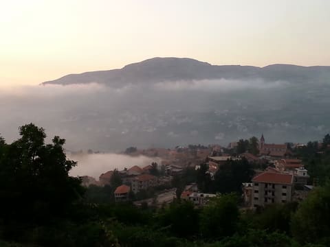 Green Hotel Hasroun — photograph 6