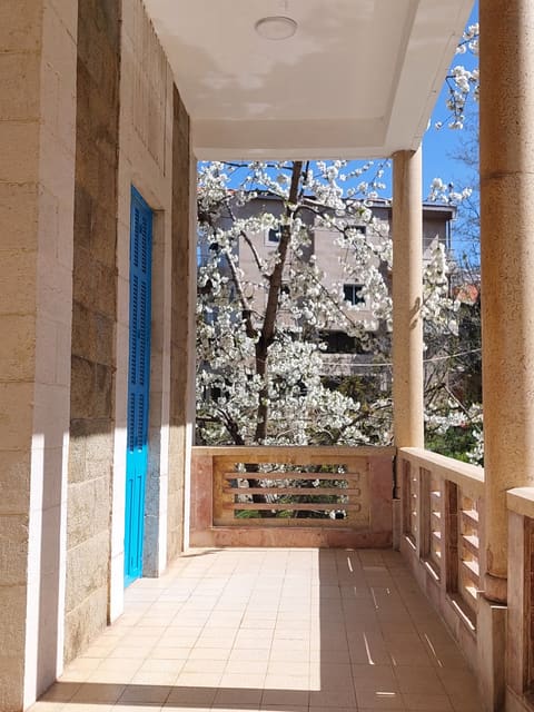 Batache guesthouse- Hasroun — photograph 5