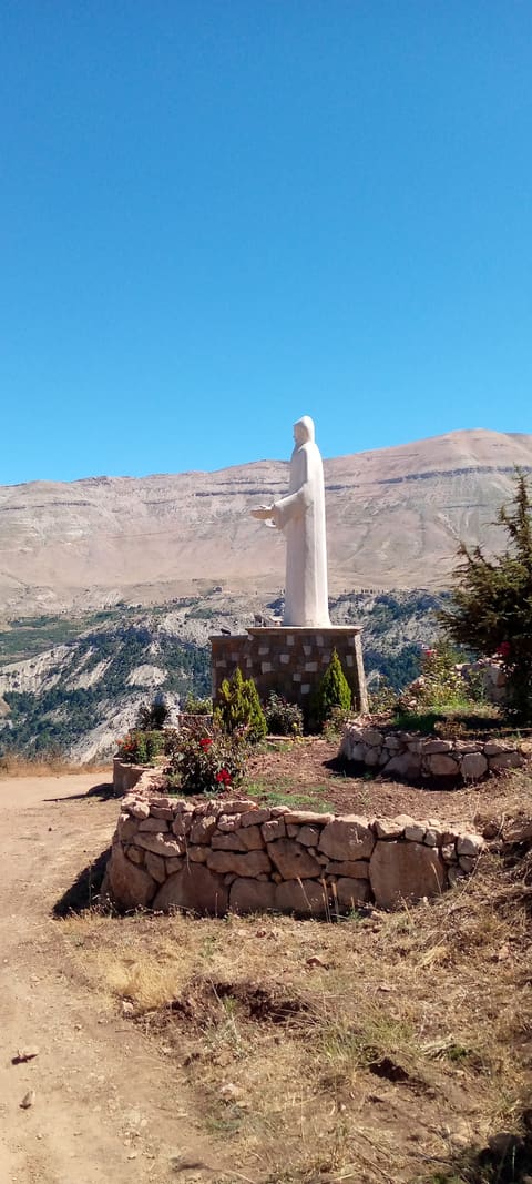 Statue of St. Charbel — photograph 6