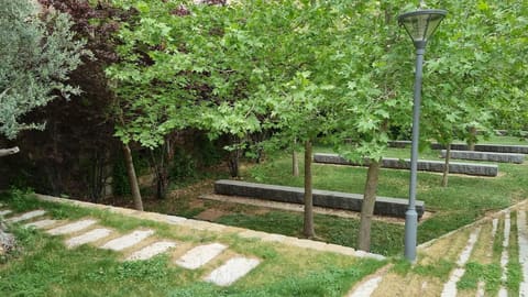 Public Garden — photograph 2