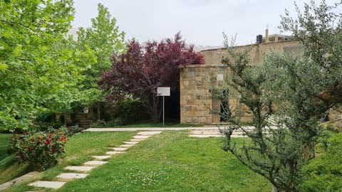 Public Garden — photograph 4