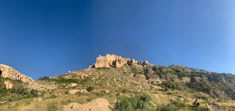 Shire el Aren — photograph 2