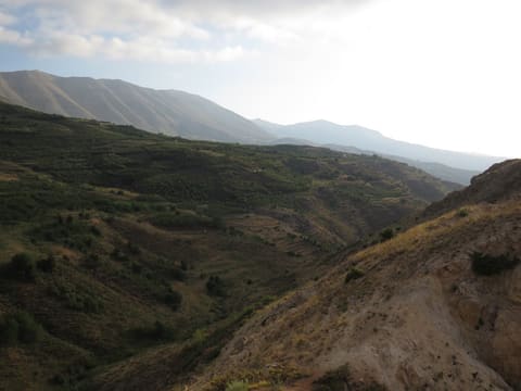 Shire el Aren — photograph 6