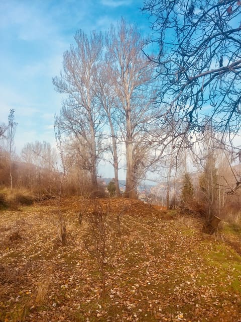 El tahoun — photograph 2